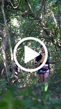 BIB:  <button type="button" onclick="openModal(28056866)" class="btn btn-primary btn-sm float-right" data-toggle="modal" data-target=".modal-high-quality">
                <i class="fa fa-download"></i> Download
                </button>